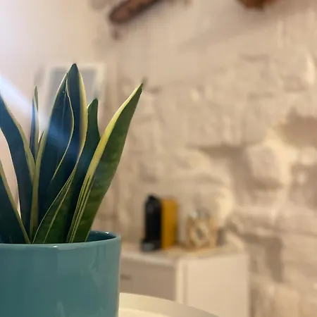 Casa Mia Ferienhaus Mola di Bari